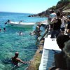 Kalymnos Album